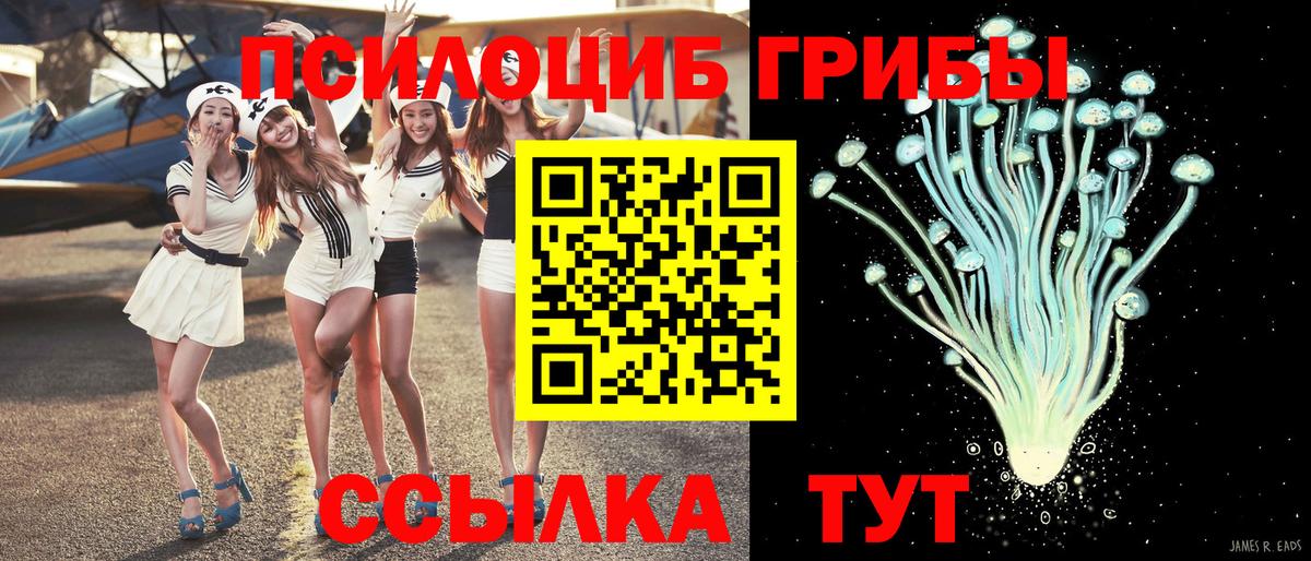 Северобайкальск  Галлюциногенные грибы Cubensis  Вход с VPN  Галлюциногенные грибы Psilocybe 